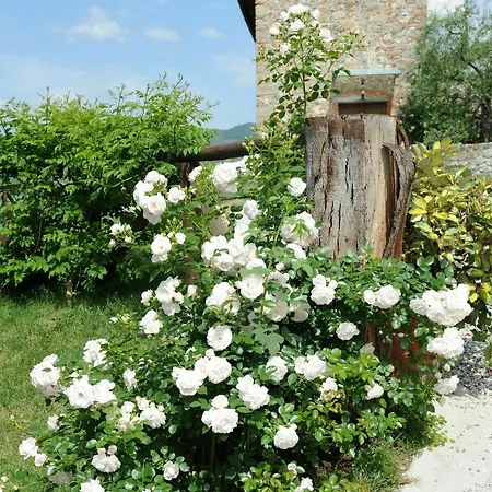 Tenuta San Pietro Luxury Lucca