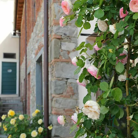 Tenuta San Pietro Luxury Hotell Lucca